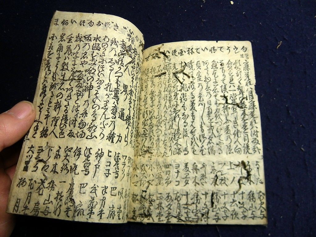 イメージ 5