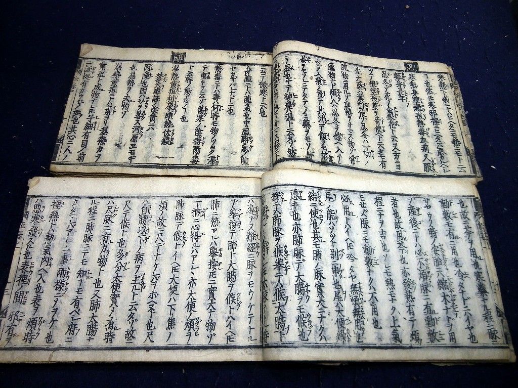 イメージ 4