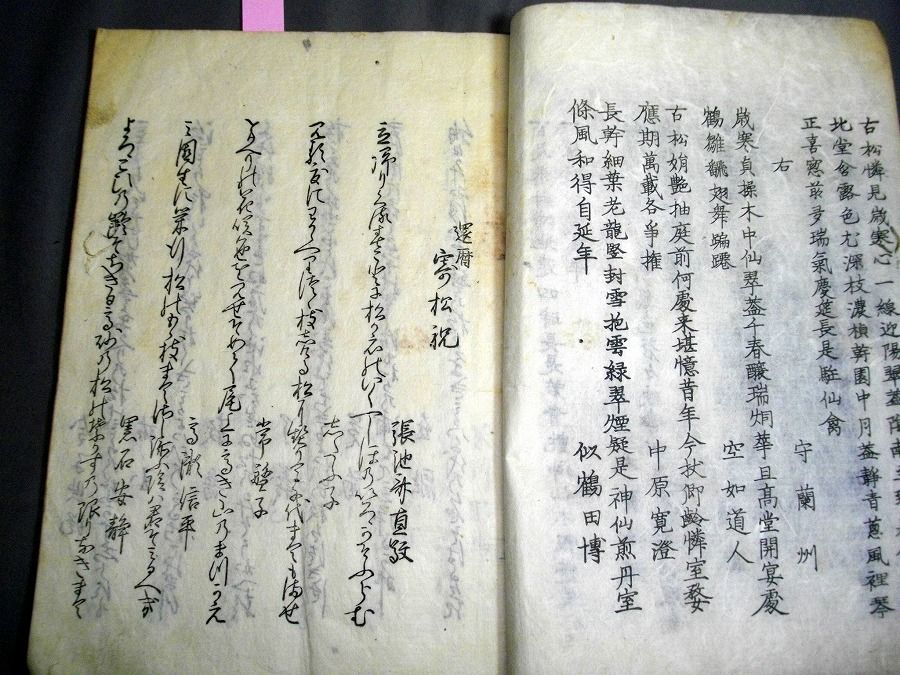 イメージ 5