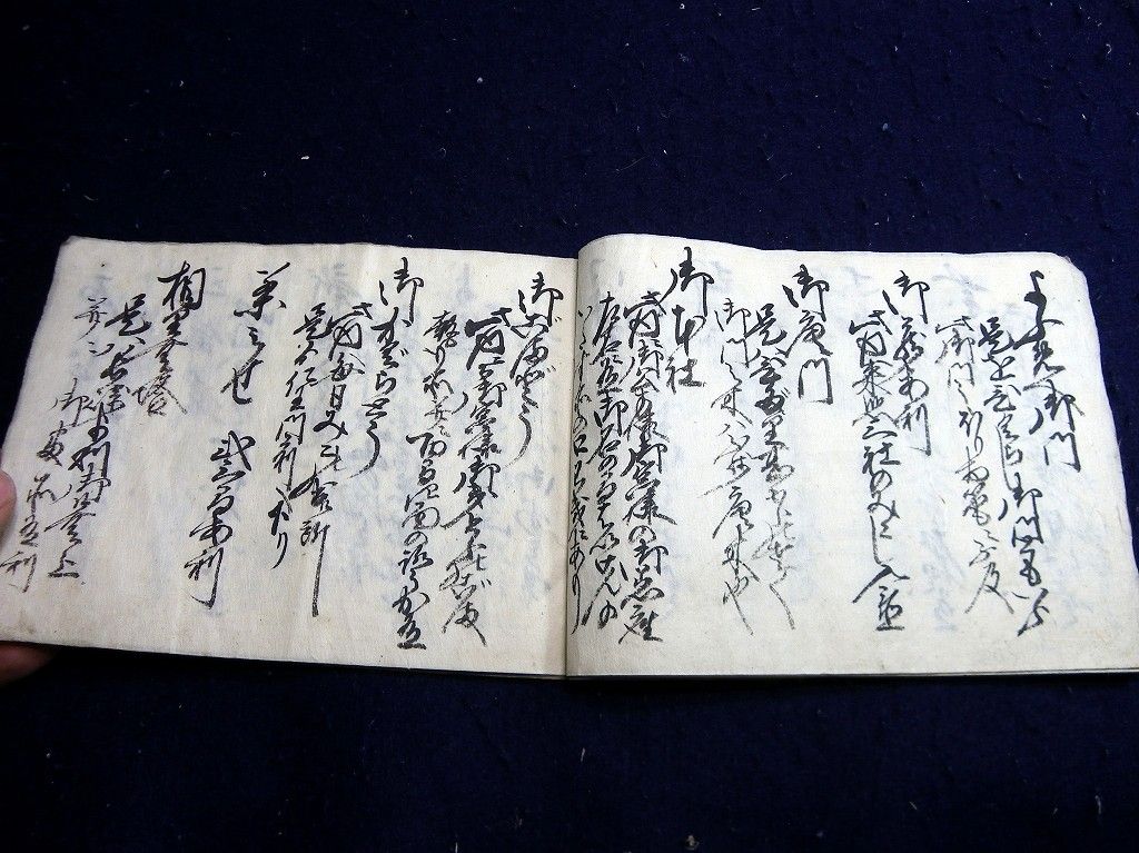 イメージ 5