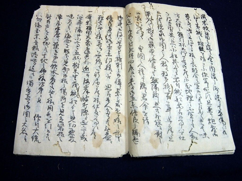 イメージ 3