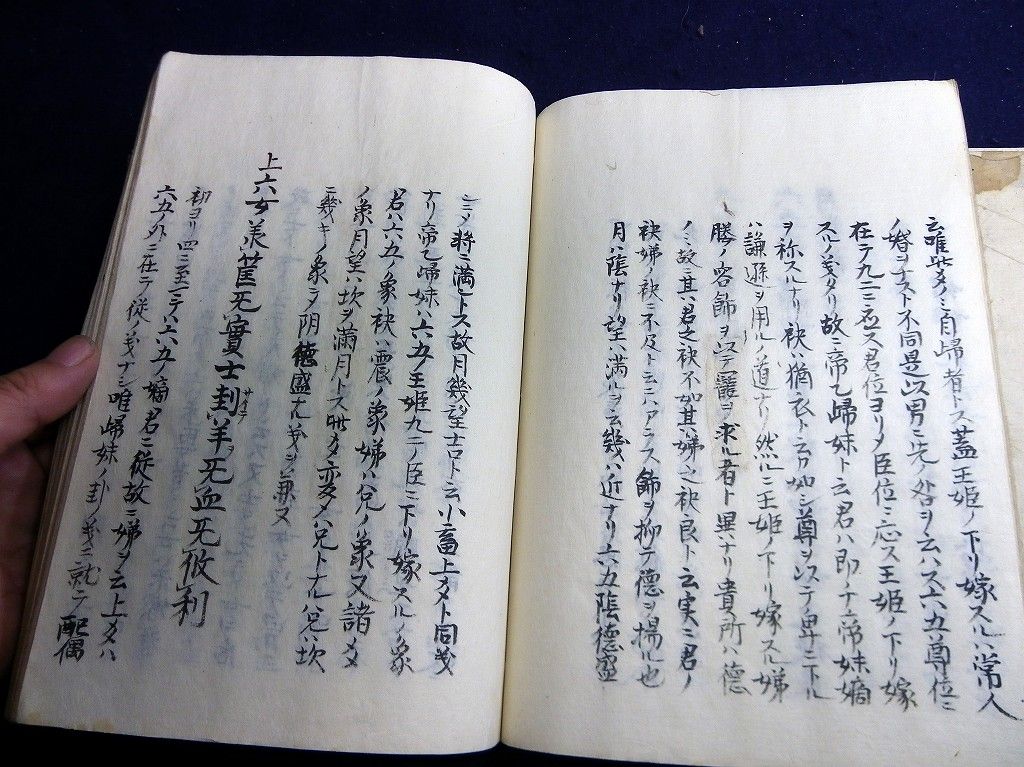 イメージ 8