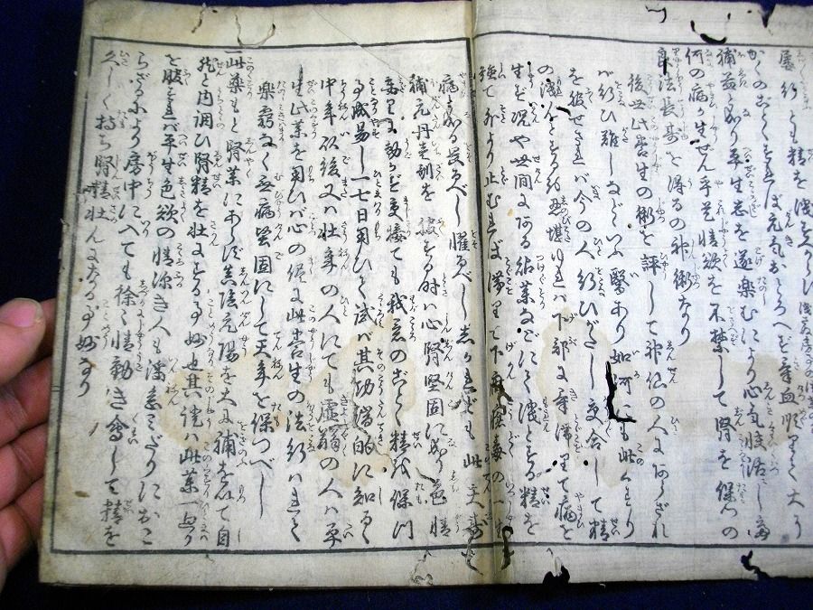 イメージ 2