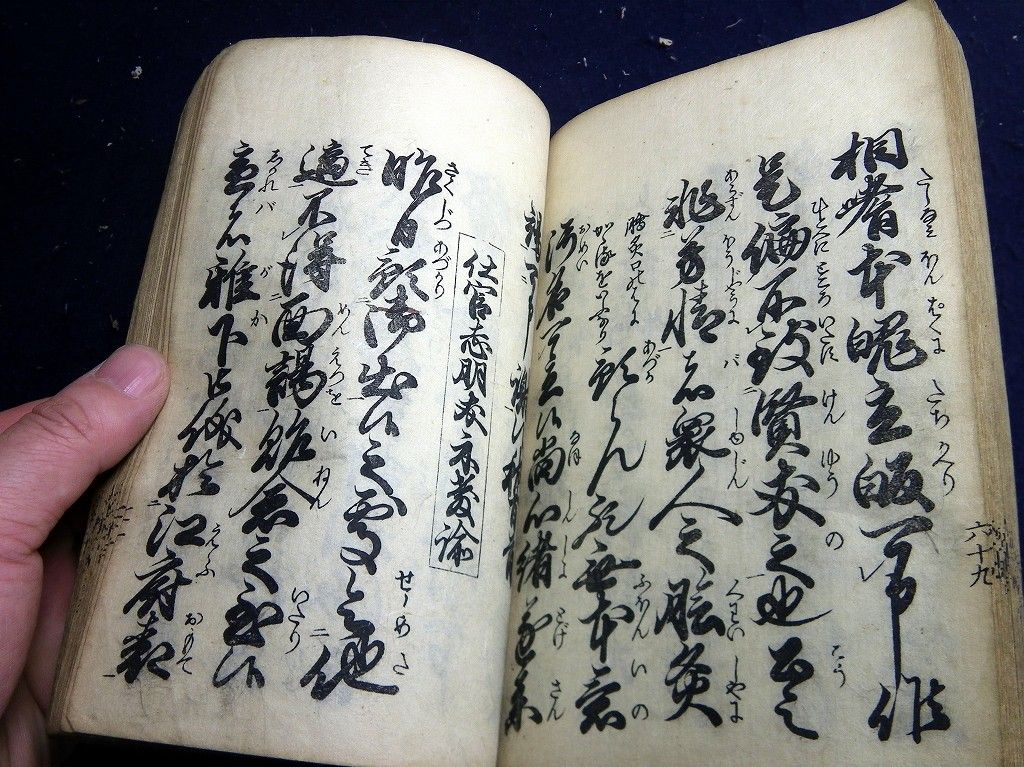 イメージ 7