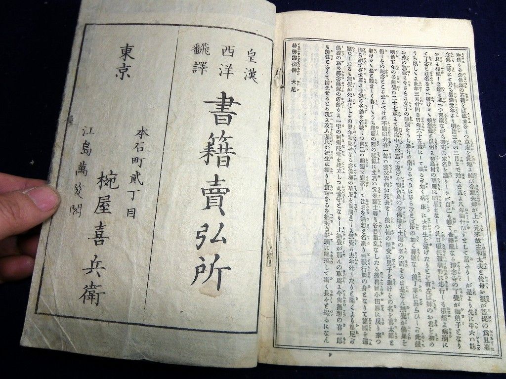 イメージ 11
