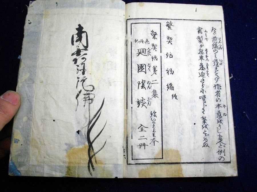 イメージ 7