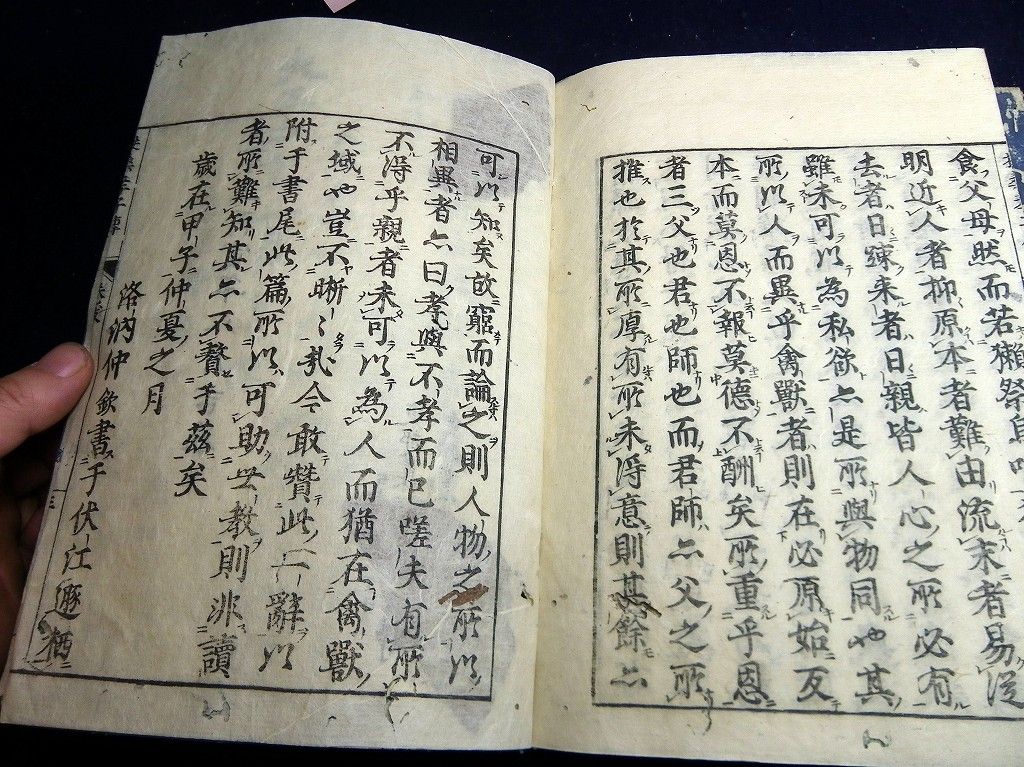 イメージ 15