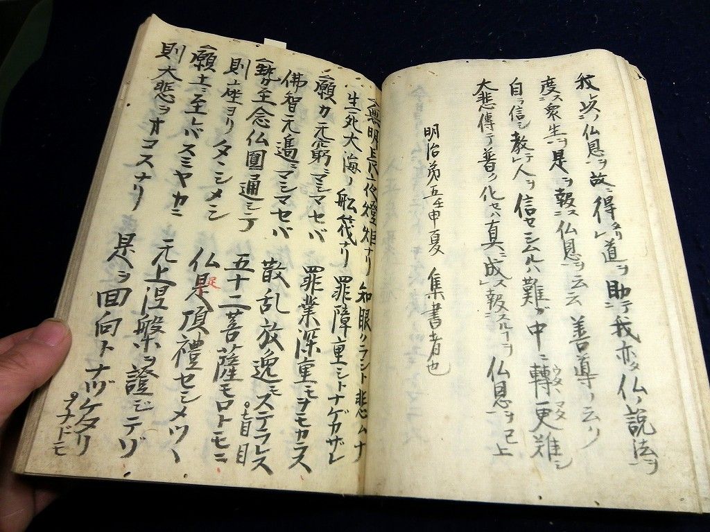 イメージ 7
