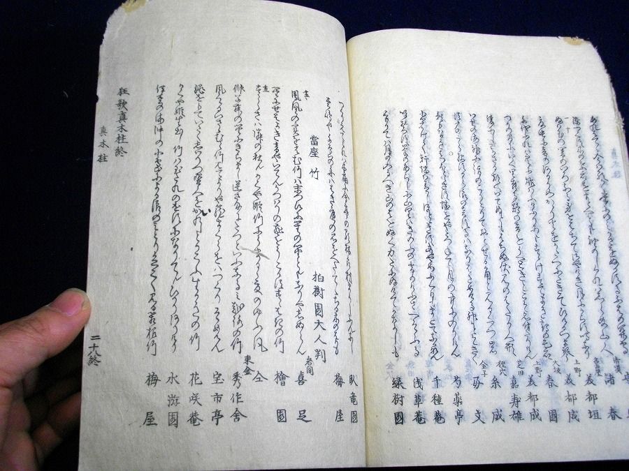イメージ 7