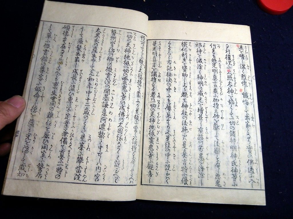 イメージ 7