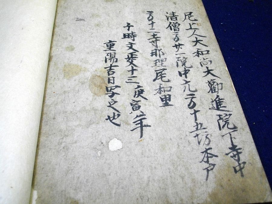 イメージ 5