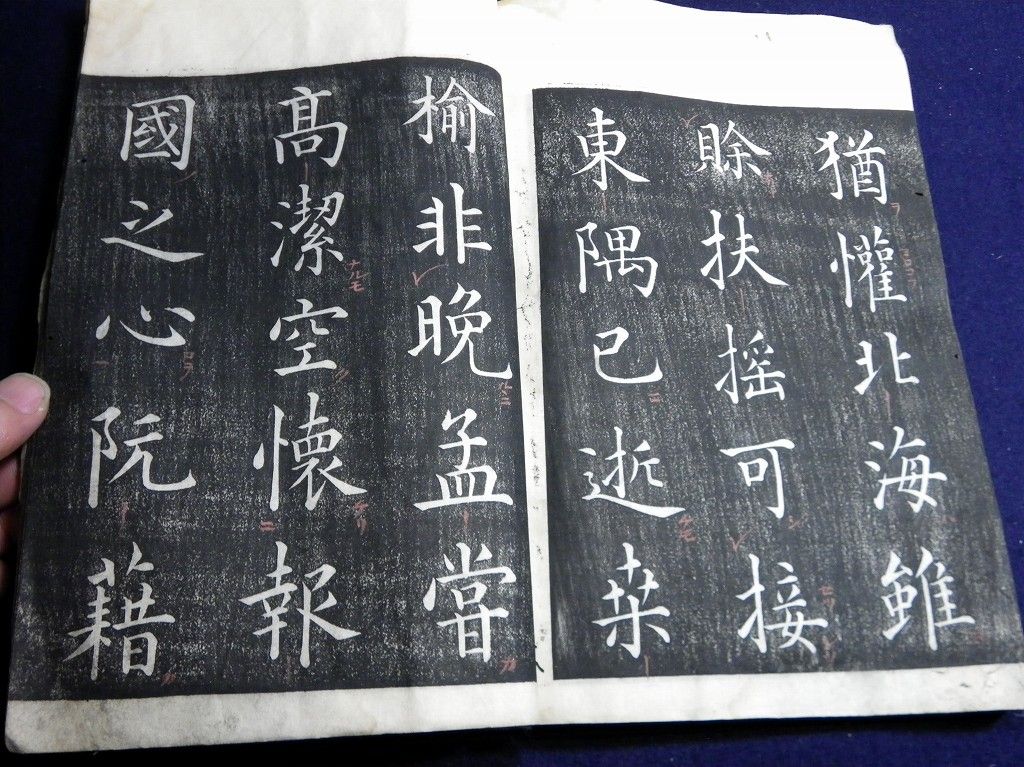 イメージ 7