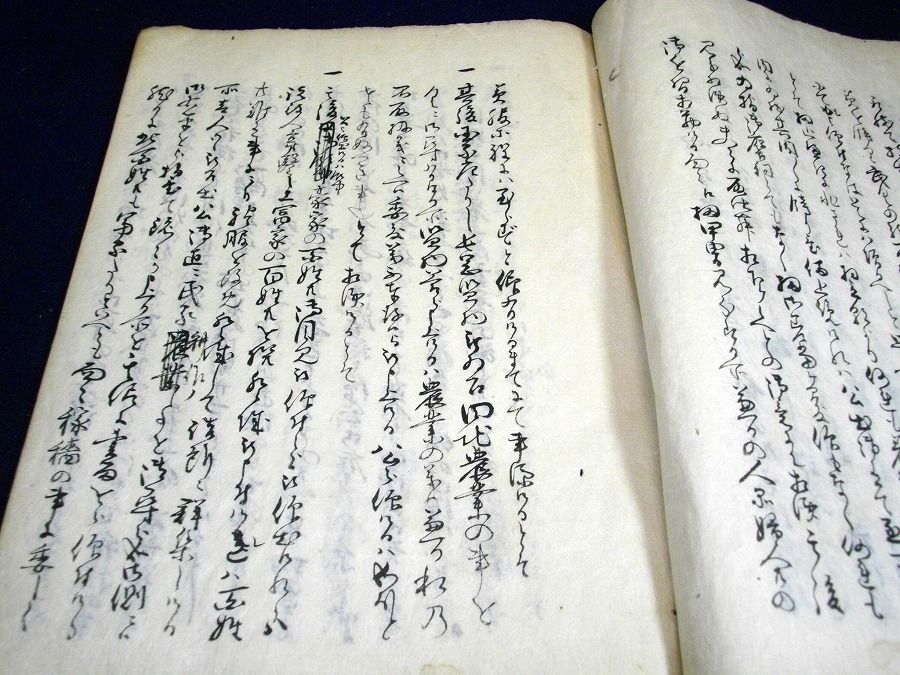 イメージ 4