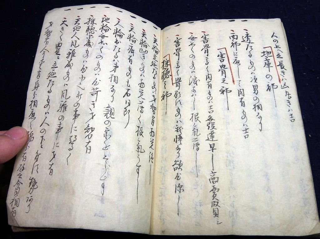 イメージ 9