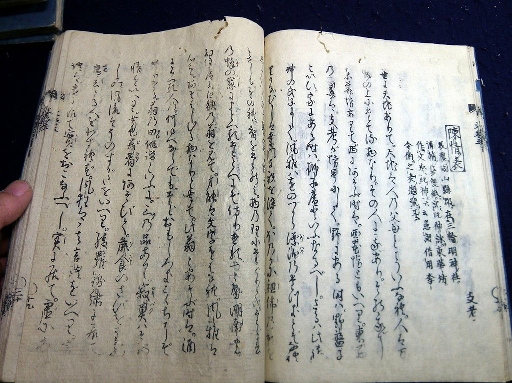 イメージ 9