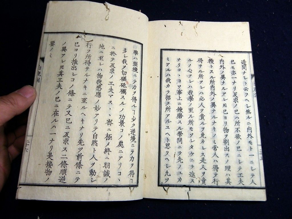 イメージ 8