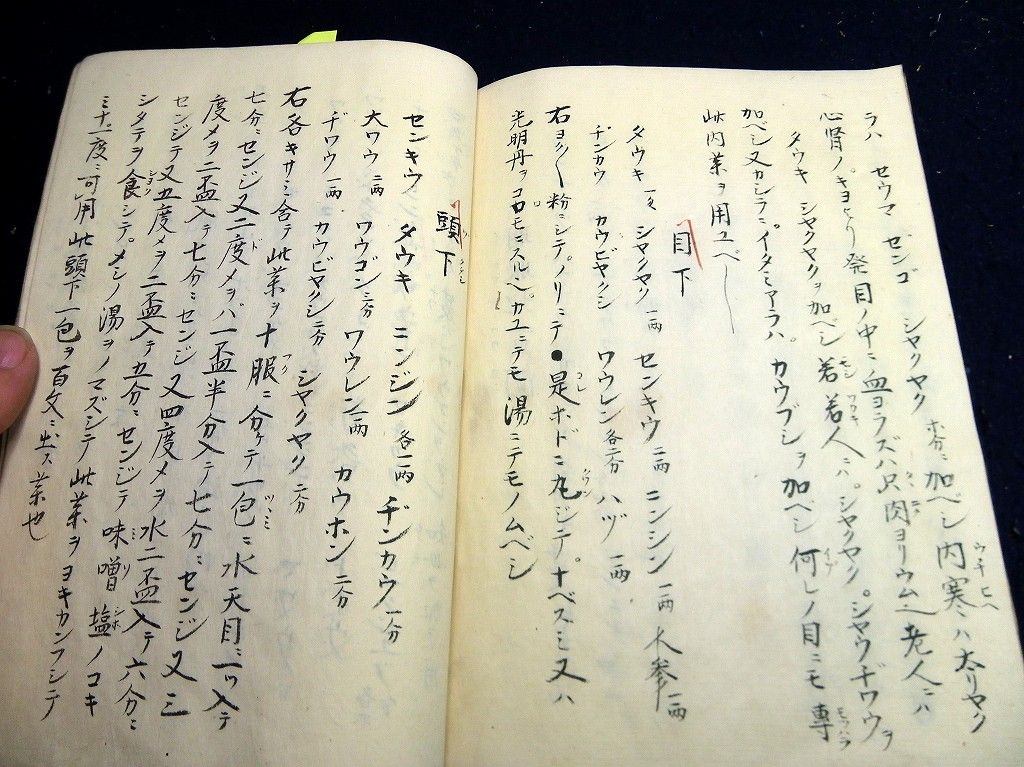 イメージ 2