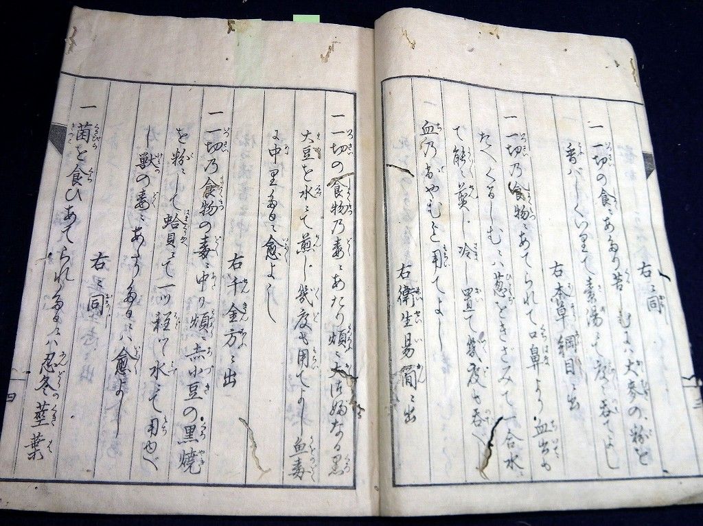 イメージ 6