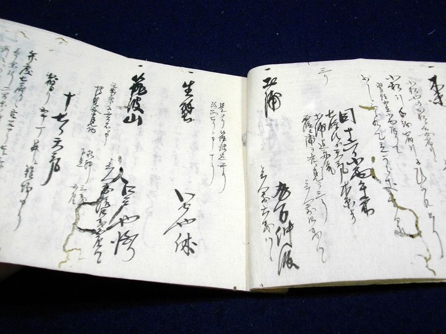 イメージ 3