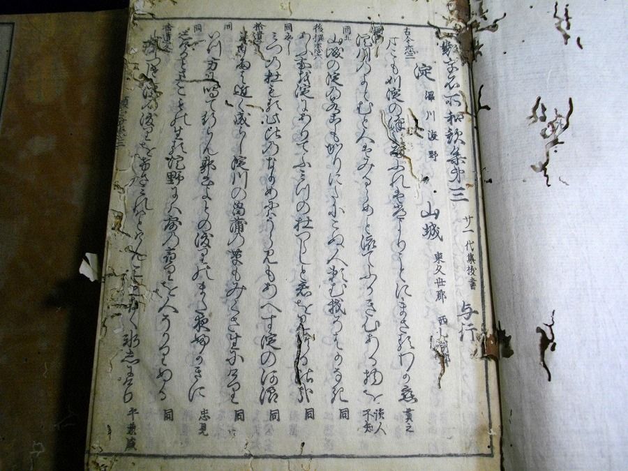 イメージ 6