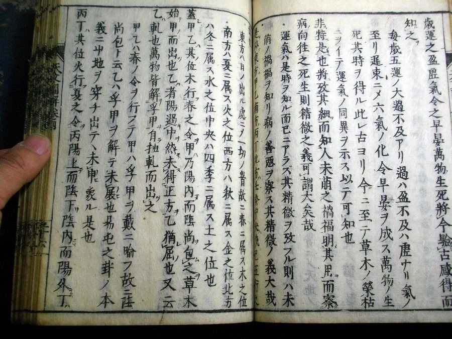 イメージ 7