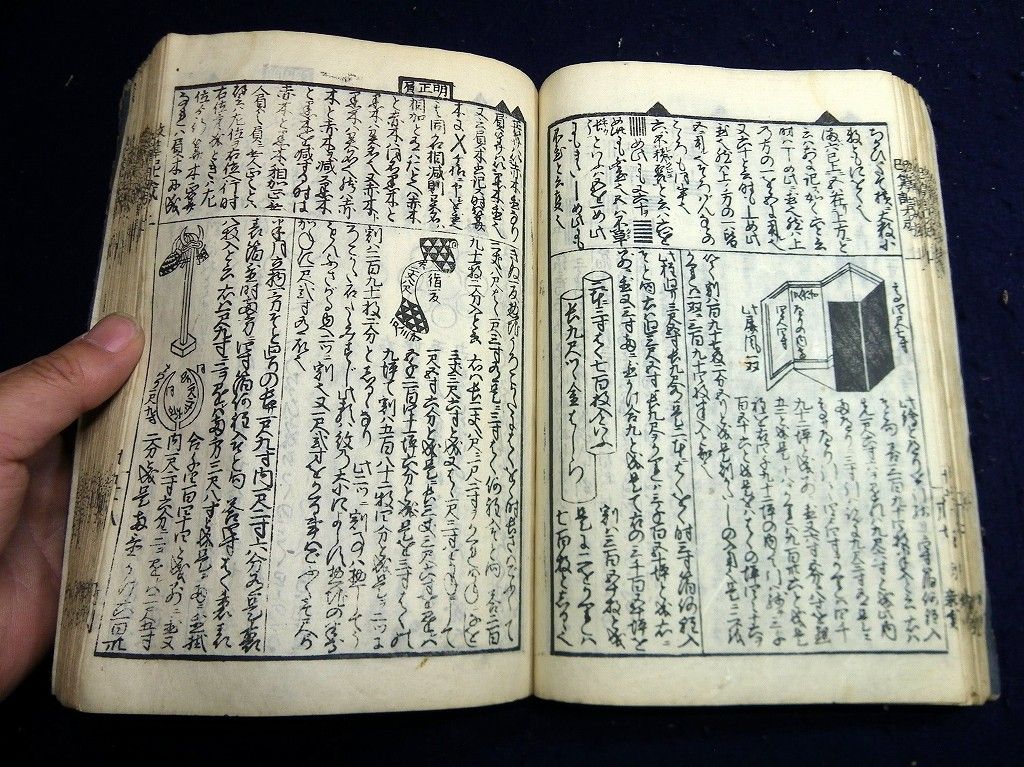 イメージ 6