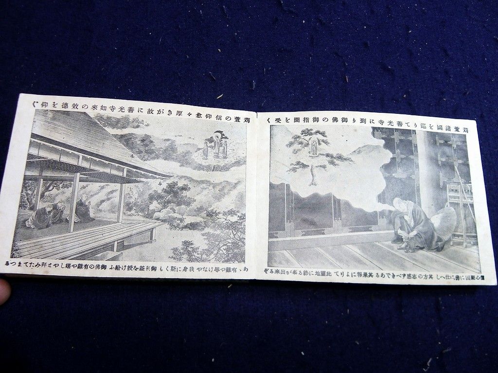 イメージ 7