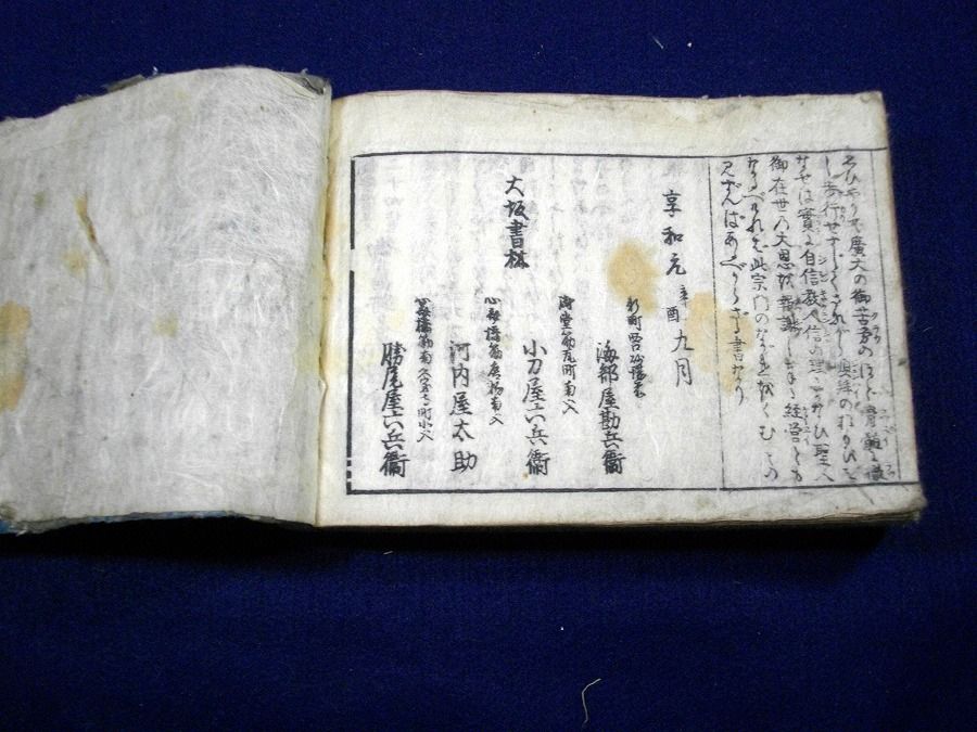 イメージ 6