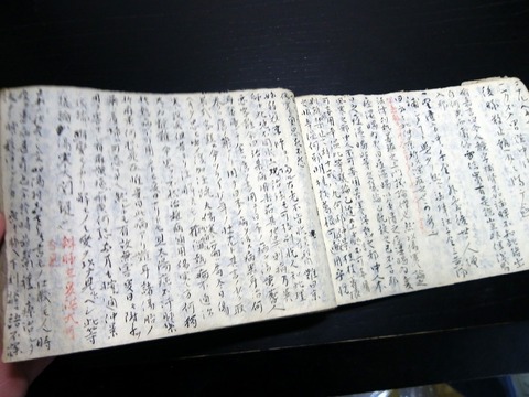 p22c-004
