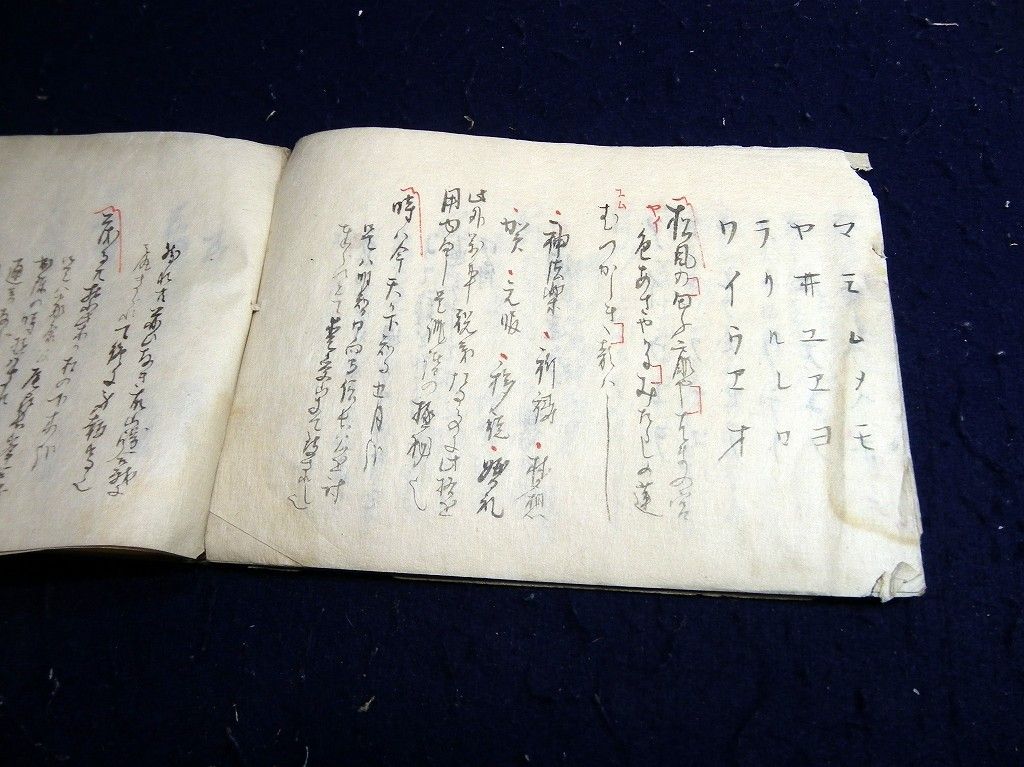 イメージ 6