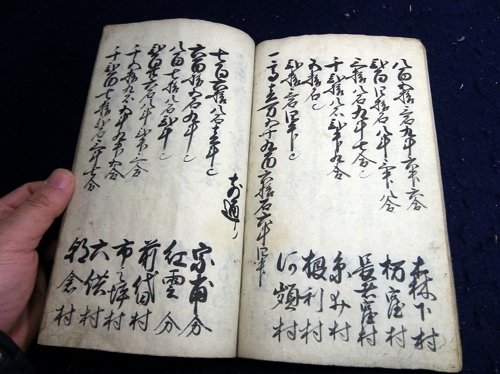 イメージ 6