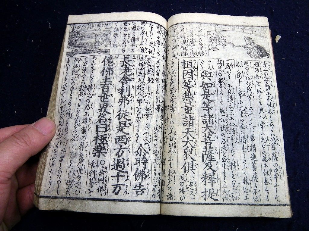 イメージ 6