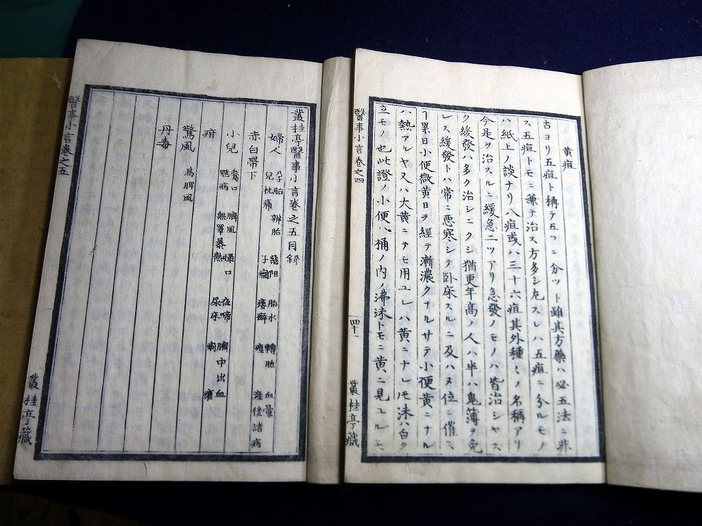 イメージ 5