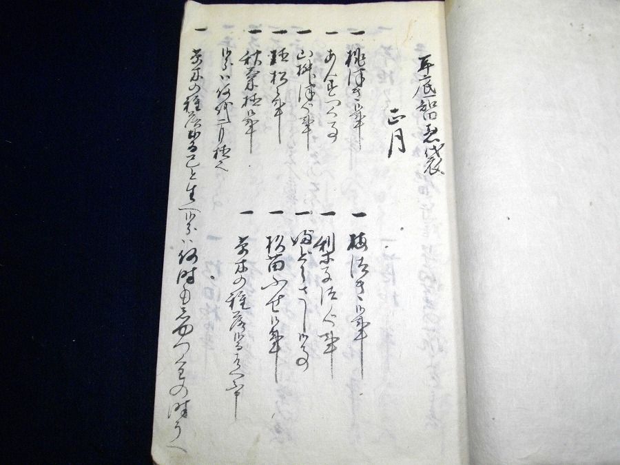 イメージ 2