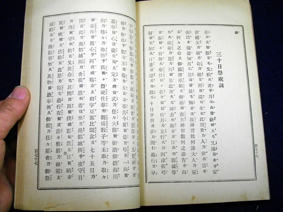 イメージ 7