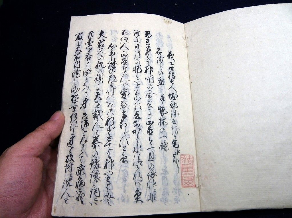 イメージ 2