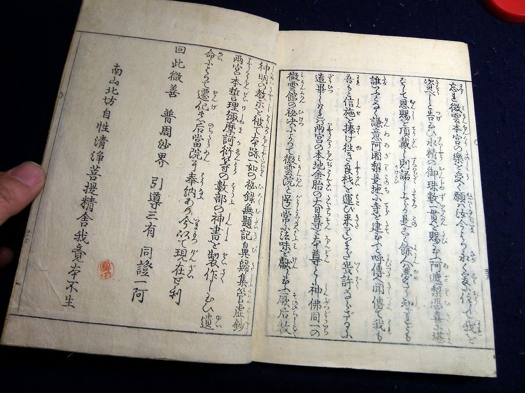イメージ 8