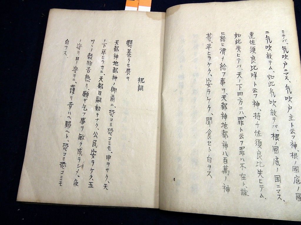 イメージ 3