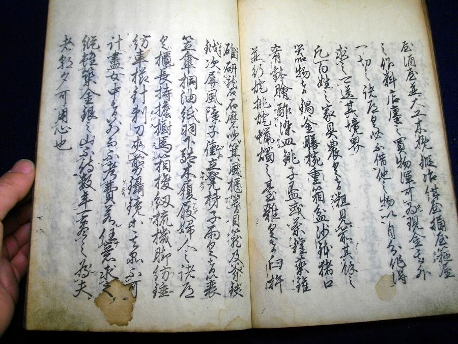 イメージ 6