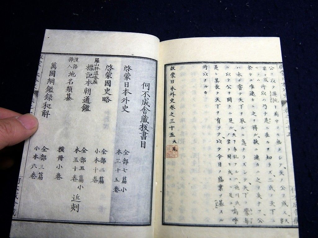 イメージ 8