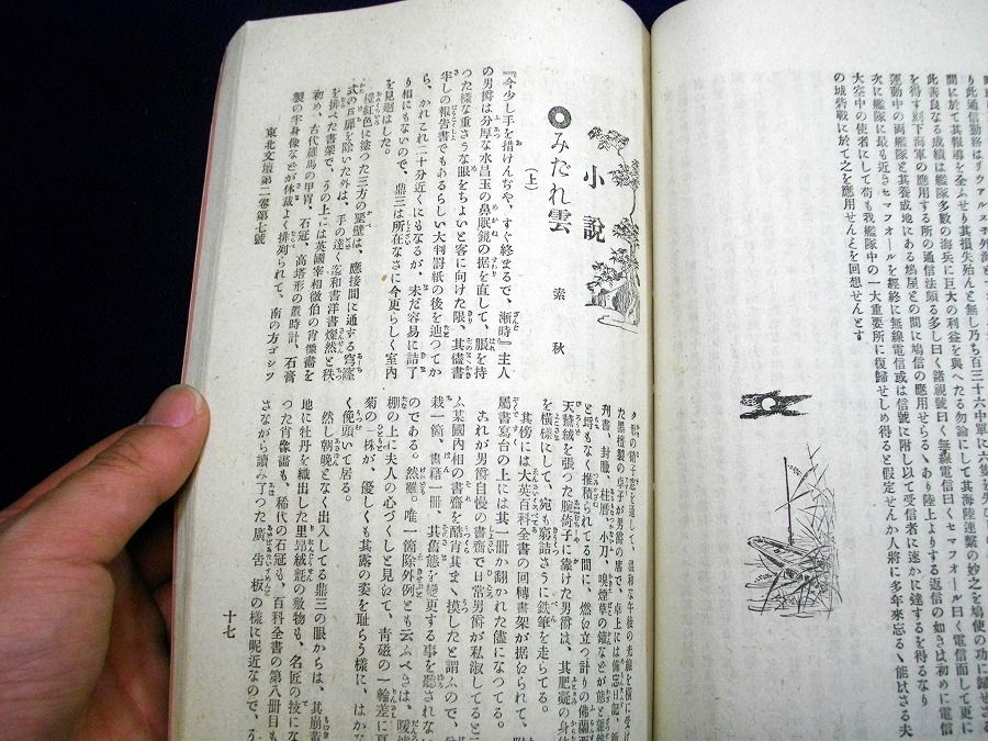 イメージ 6
