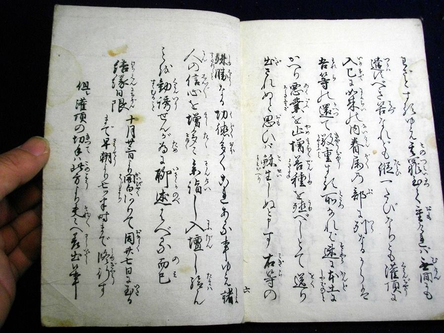 イメージ 6