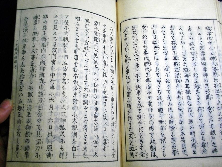 イメージ 6