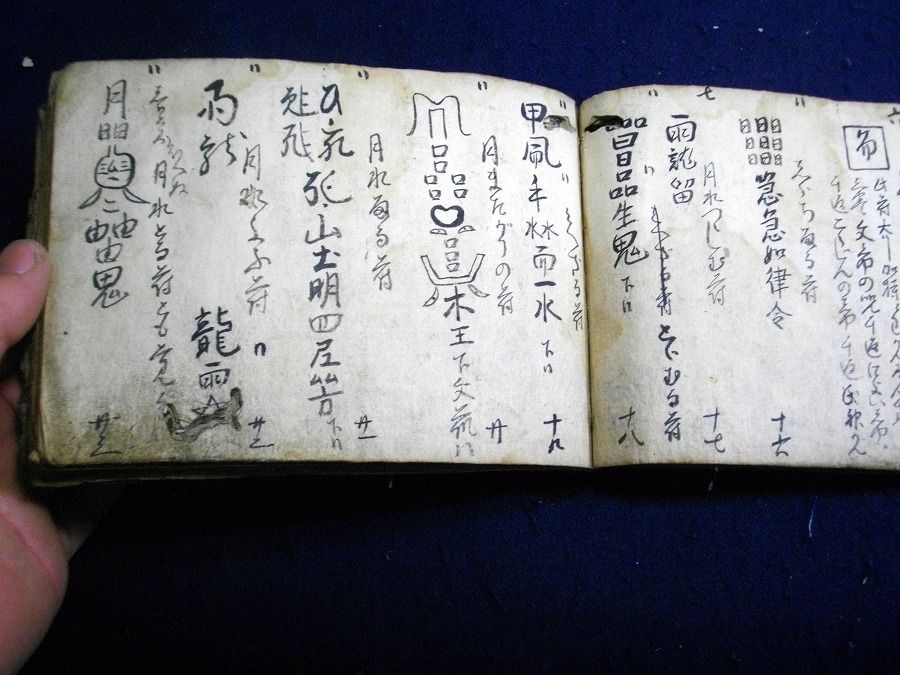 イメージ 5