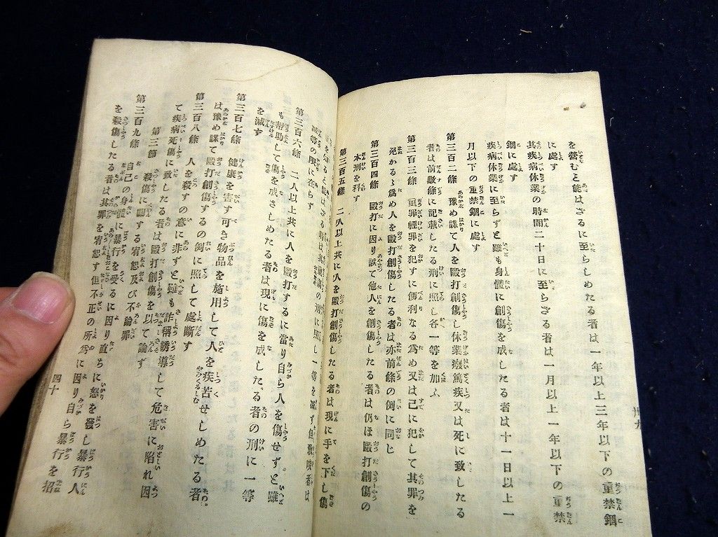 イメージ 6