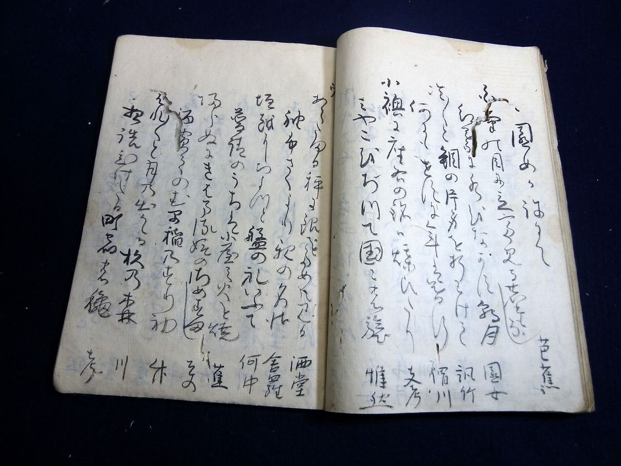 イメージ 7