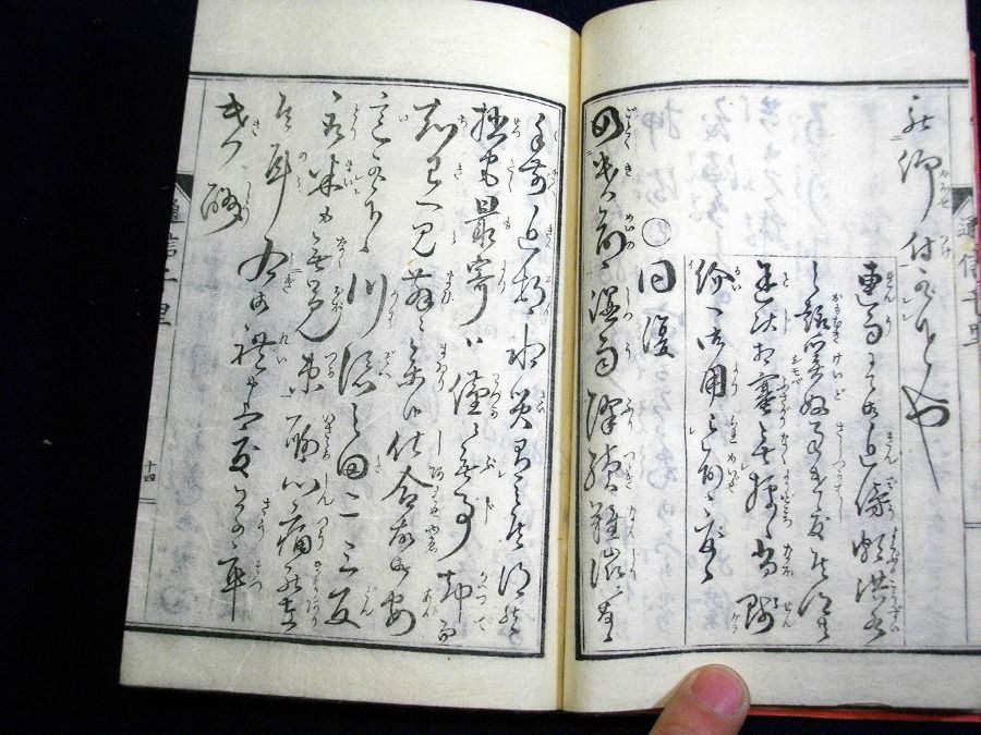 イメージ 5