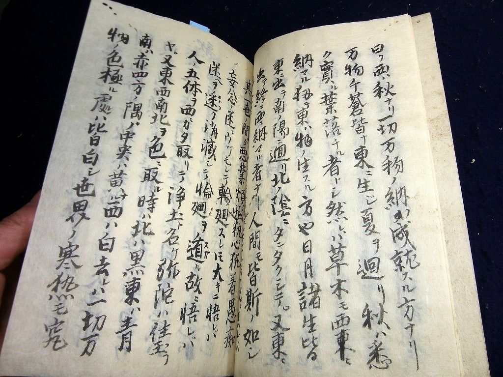イメージ 3
