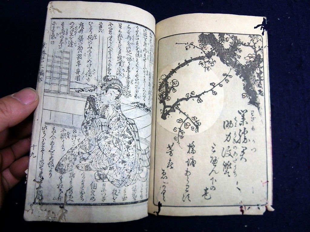 イメージ 11