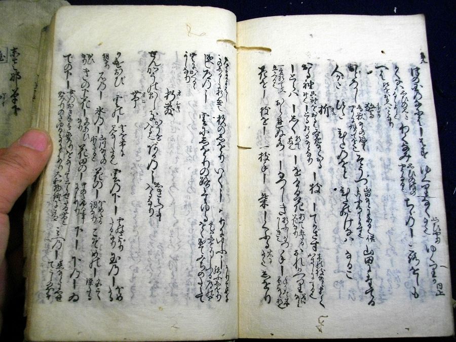 イメージ 4